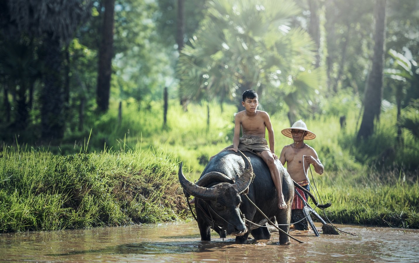 Water Nature Forest Outdoor Wilderness People 1025992 Pxhere.com 2 1 1